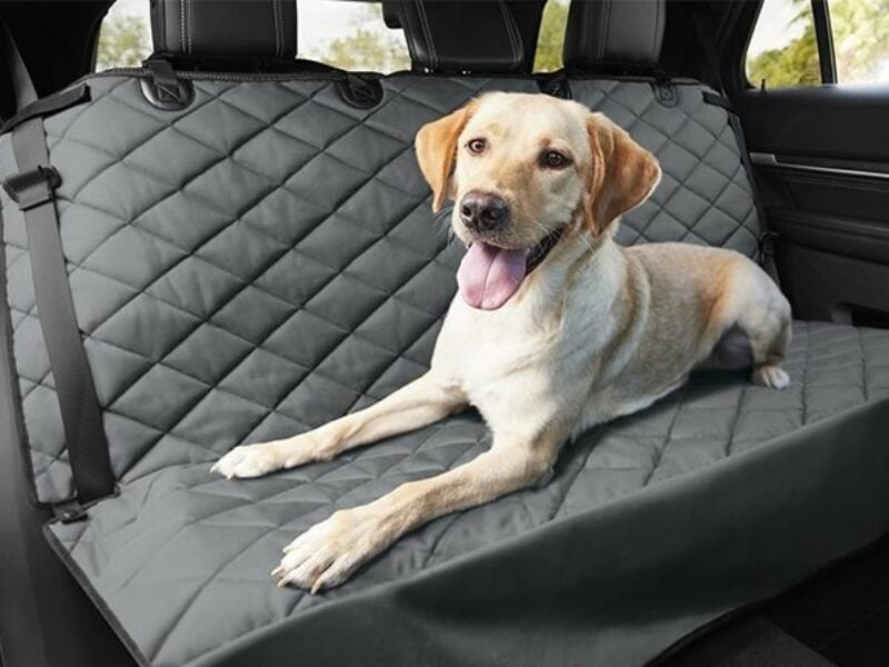 The 11 Best Dog Car Seat Covers To Protect Your Ride - iHeartDogs.com