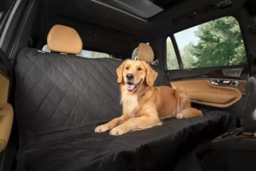 The 11 Best Dog Car Seat Covers To Protect Your Ride - iHeartDogs.com