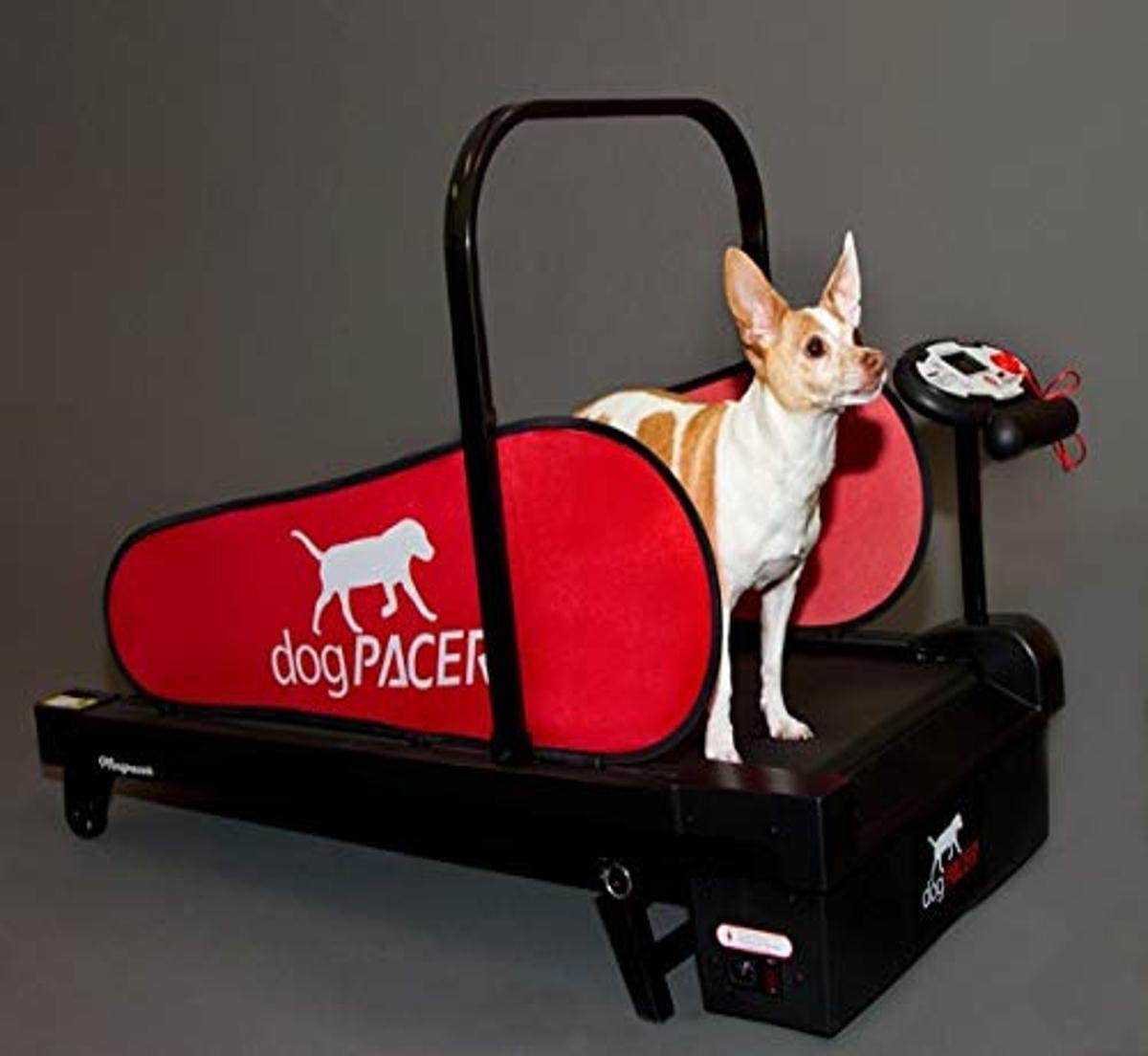 6. dogPACER MiniPACER Treadmill