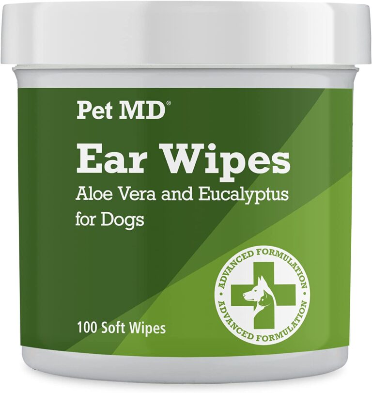11 Ways to Treat & Prevent Ear Infections in Boxers