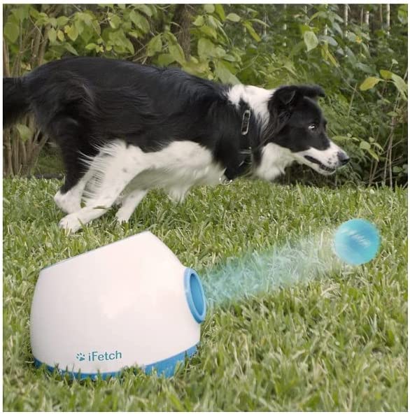 iFetch Too Interactive Ball Thrower for Dogs