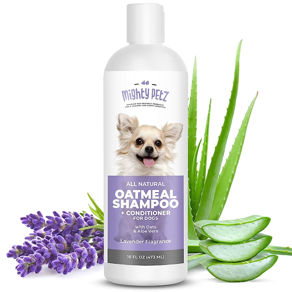 7 Best Oatmeal Shampoos for Dogs