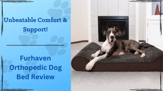 Furhaven dog bed review