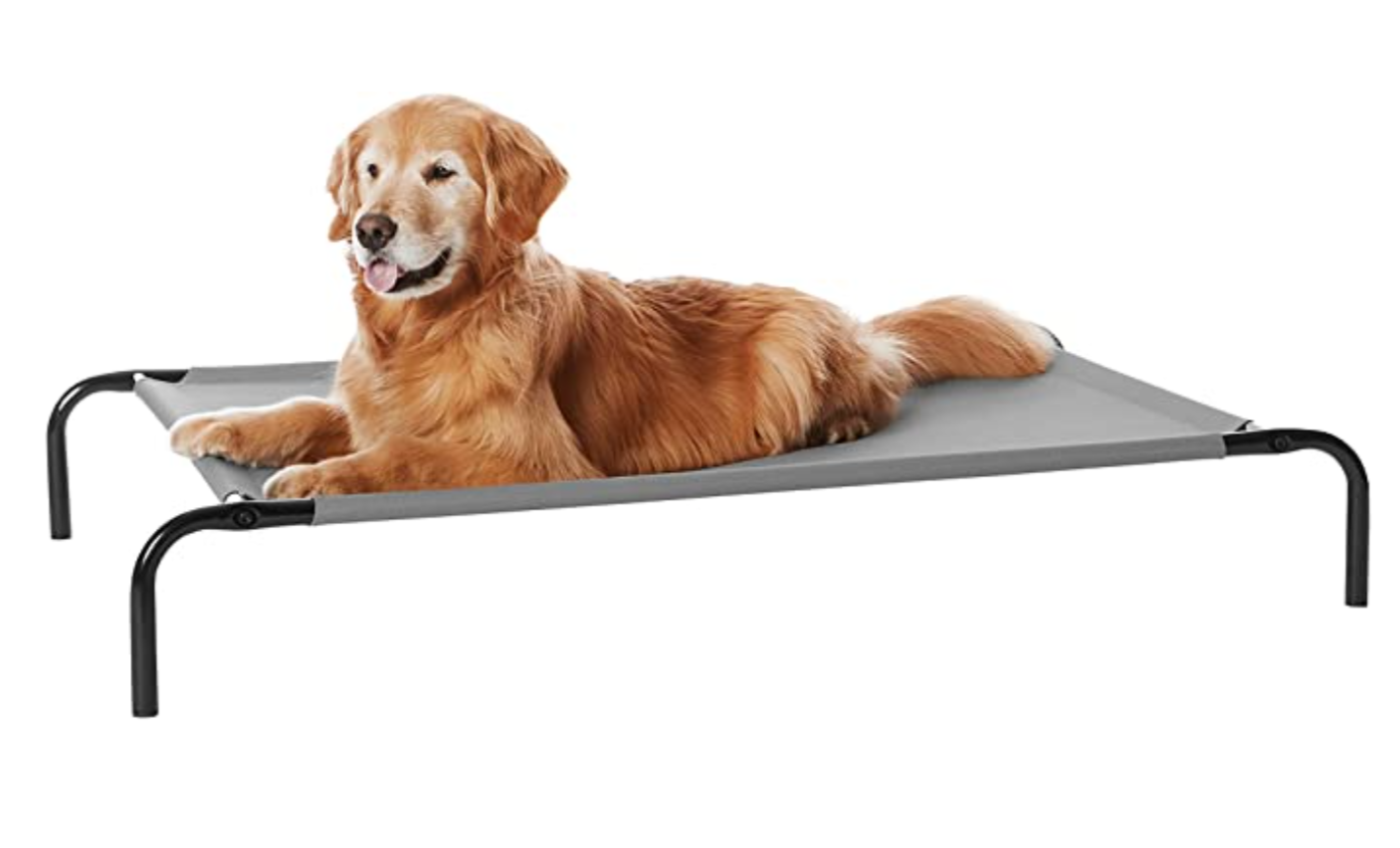 7. Amazon Basics Cooling Elevated Dog Bed