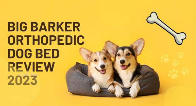 Review of Big Barker orthopedic dog bed