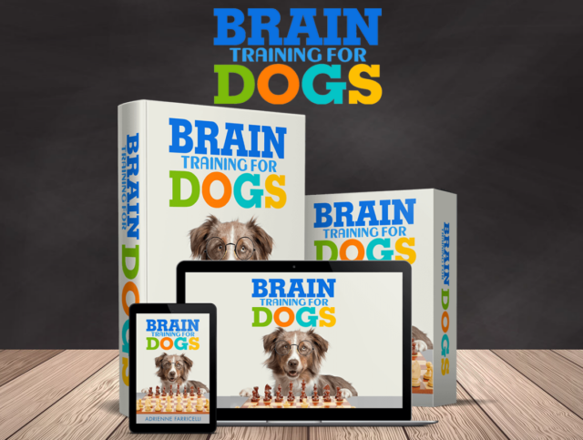 Brain Training for Dogs content