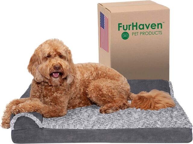 Doodle on Furhaven dog bed