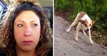 Woman Drives To A ‘Dog Dumping Ground’ At 4AM And Sees Dog Staring At Her