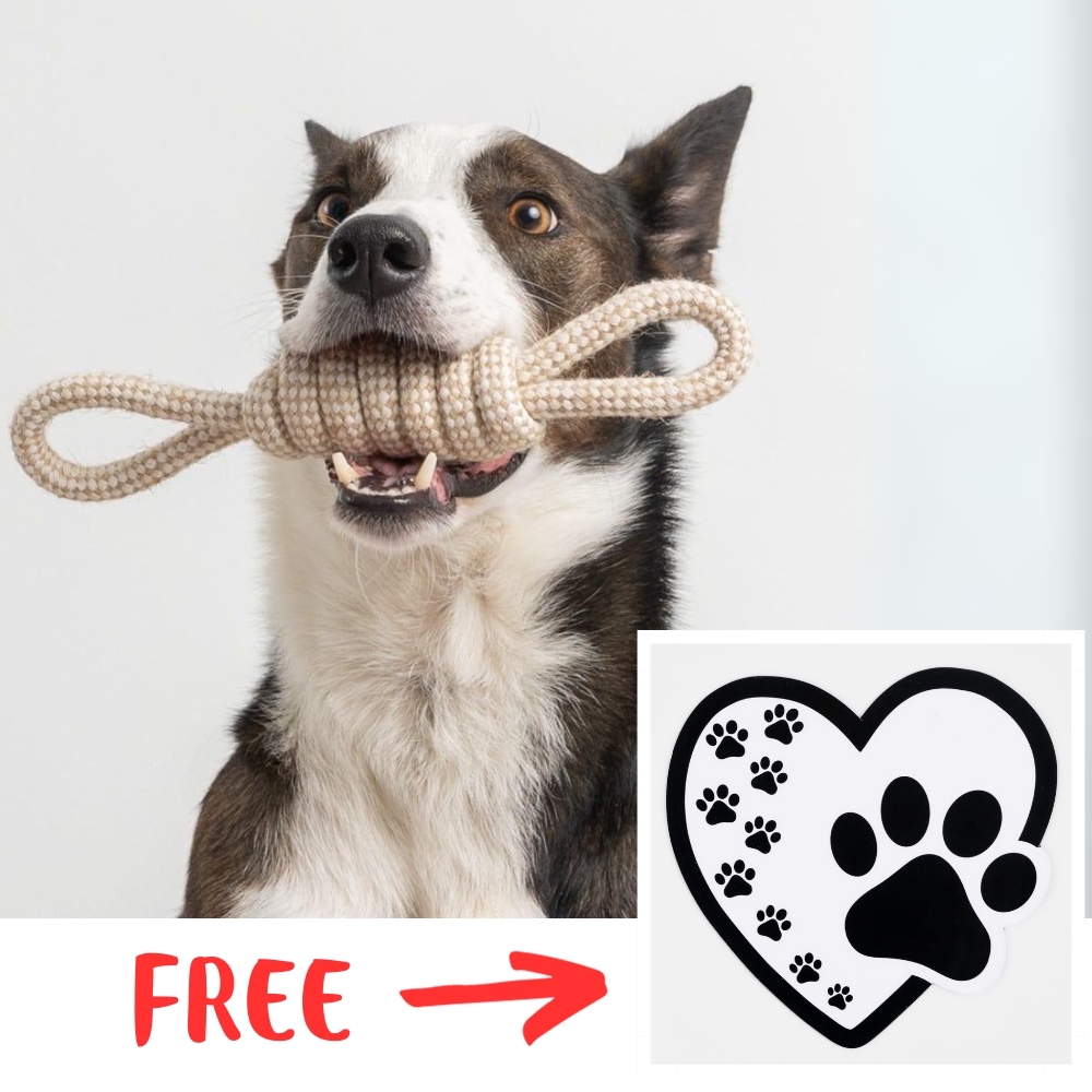 Image of FREE Paw Prints On My Heart Car Magnet with Purchase of The Perfect Tug Knot Rope Toy