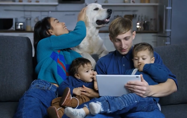 Family training online with dog