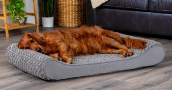 Furhaven Orthopedic Dog Bed Review