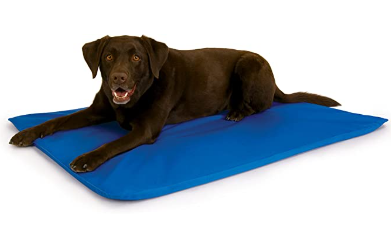 5. K&H Pet Products Dog Cool Bed III
