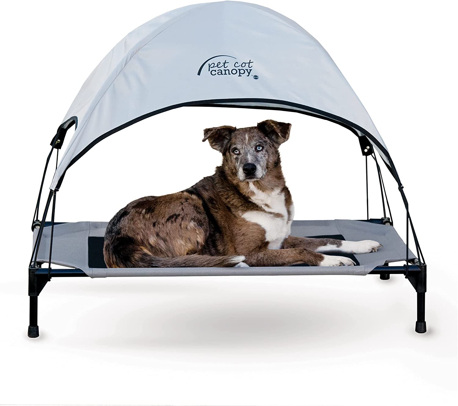 8. K&H Pet Products Original Pet Cot Elevated With Canopy