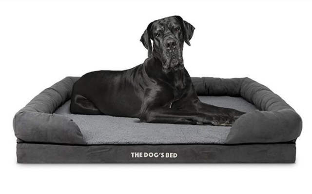 The Dog's Bed XXL Orthopedic Dog Bed