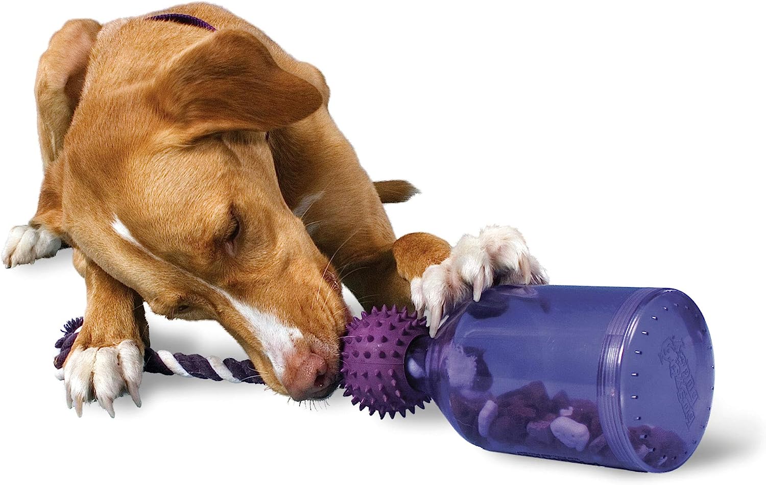ANYPET Dog Planet Interactive Toy Puzzle IQ Treat Ball, Food Dispensing  Chew Toys for Medium to Large Dogs 