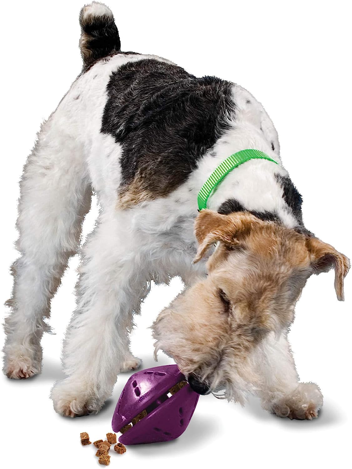 Busy Buddy Bouncy Bone Treat Dispenser Tough Dog Chew Toy, Medium
