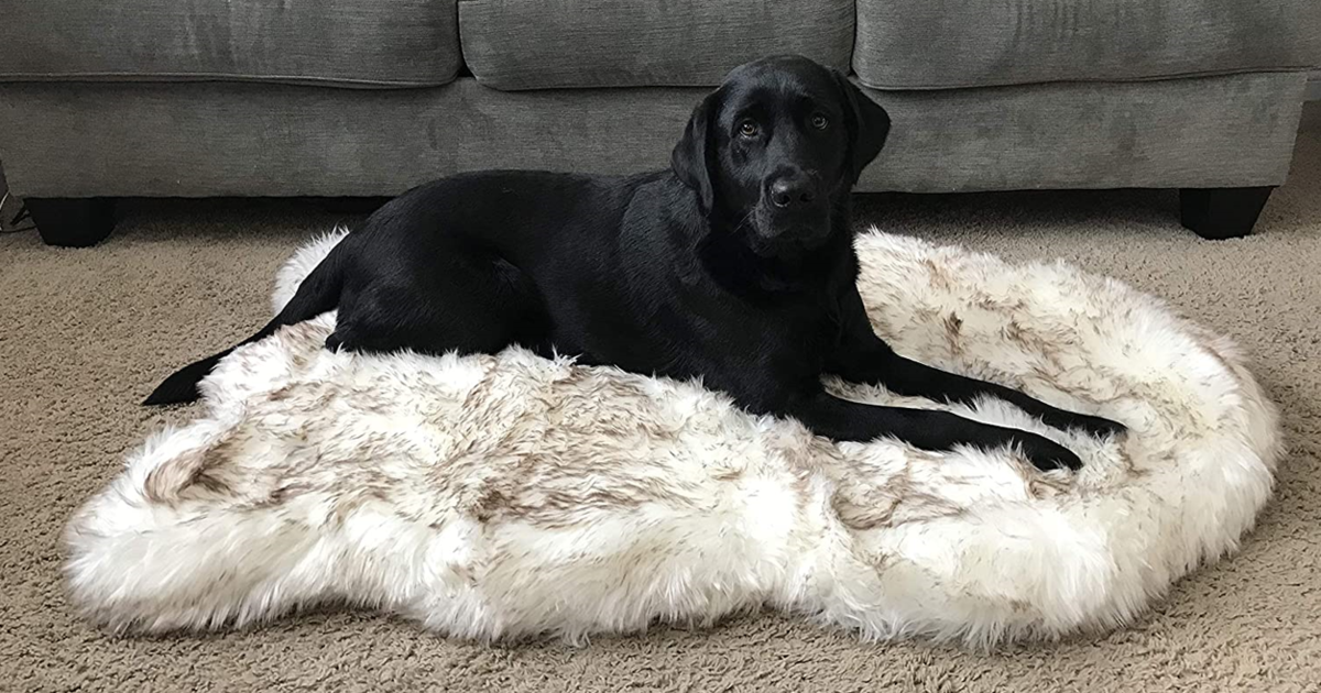 Puprug Faux Fur Memory Foam Orthopedic Dog Bed Review