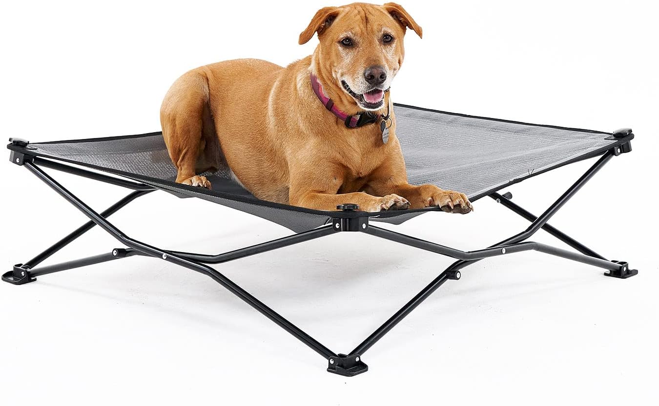 Coolaroo On The Go Cooling Elevated Dog Bed