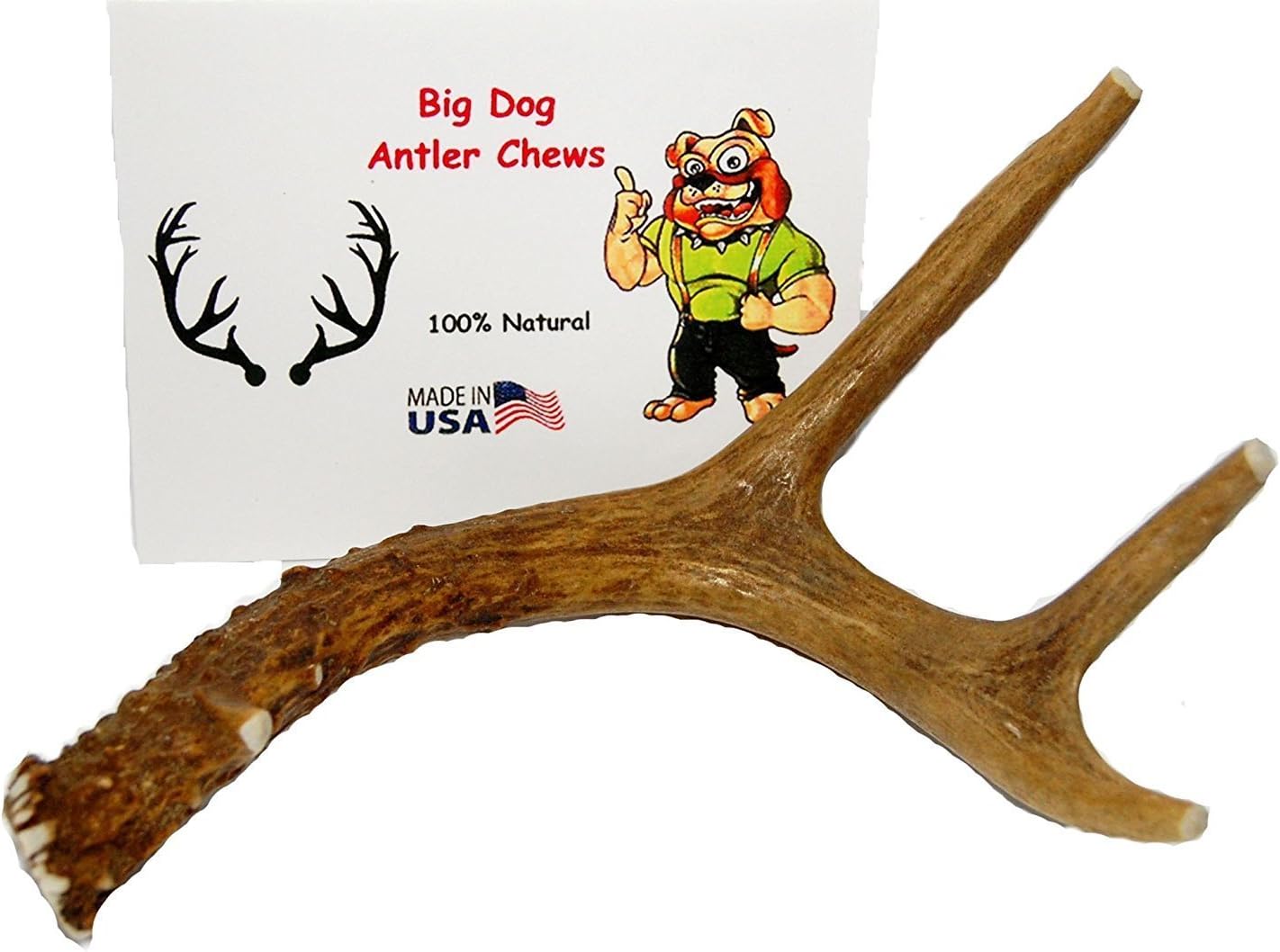 Small Whole Deer Antler Dog Chew