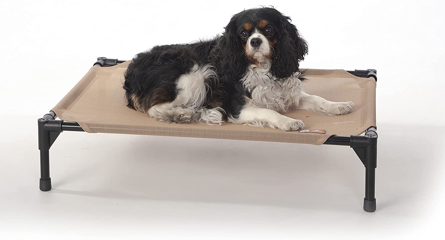 10 Best Elevated Dog Beds