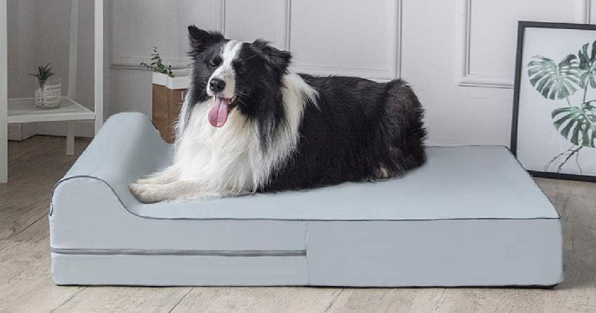 KOPEKS Orthopedic Memory Foam Dog Bed: An In-Depth Review