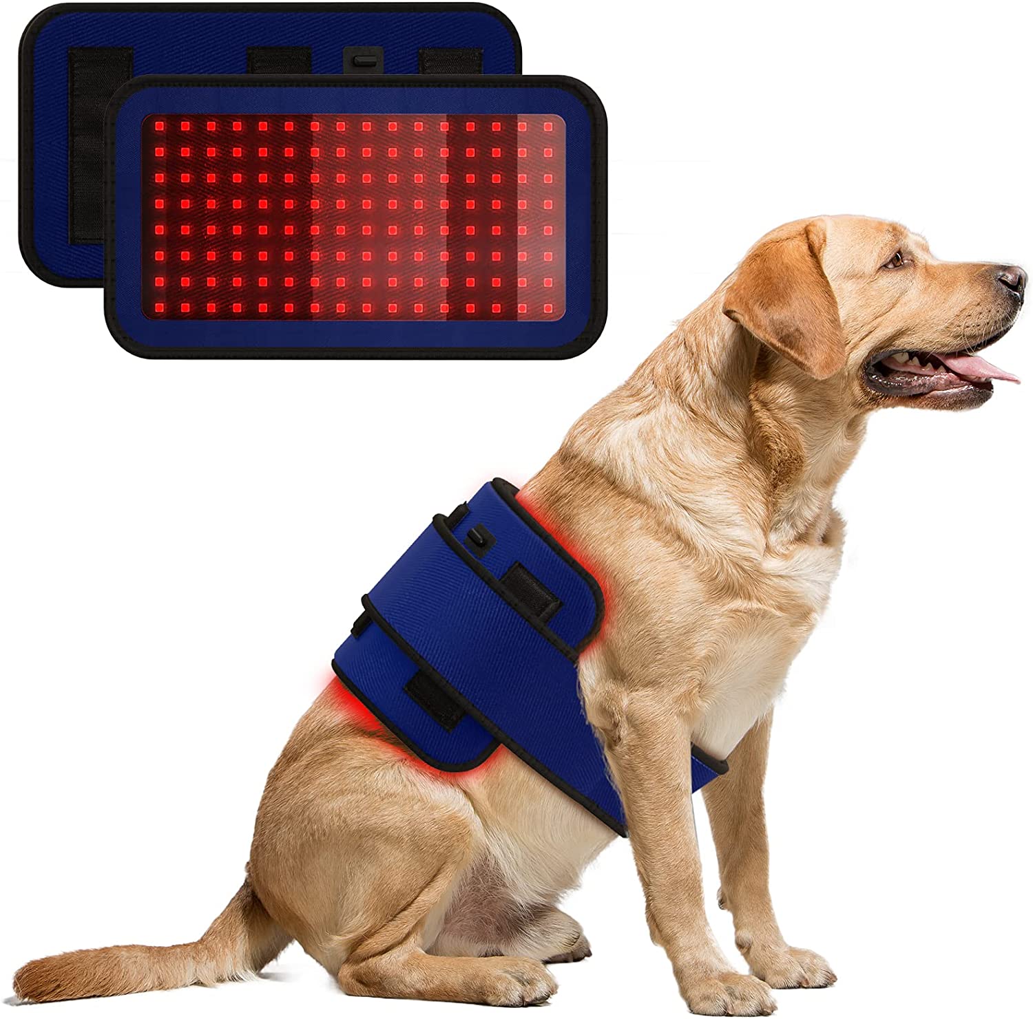 PUPCA Cold Laser Therapy Device for Dogs