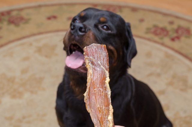 beef tendon chews for dogs