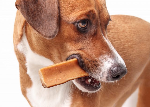 yak chews for dogs