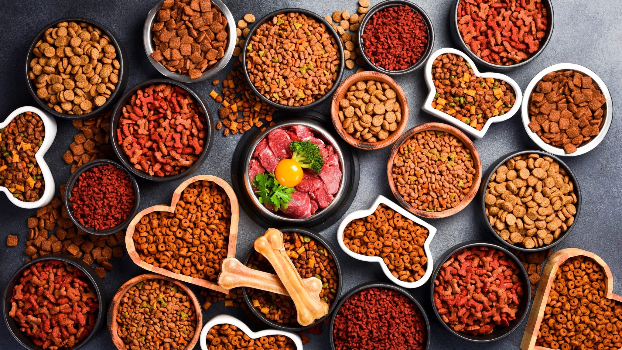 different types of dog food