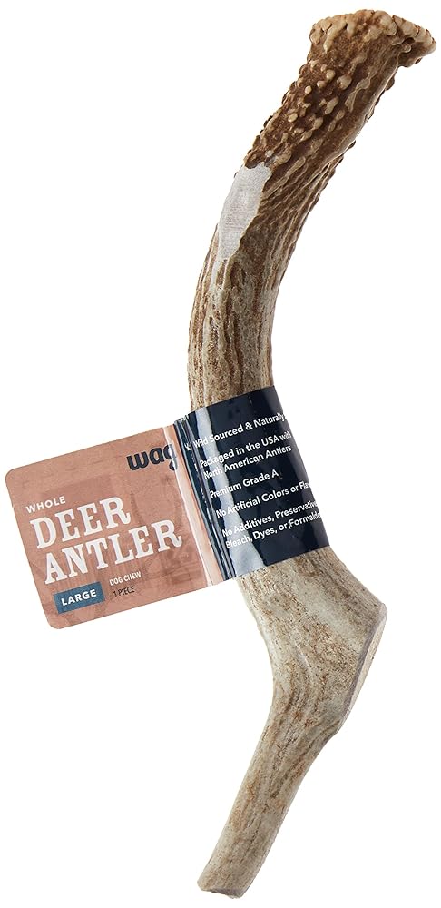 Amazon Brand - Wag Dog Deer Antler Chew