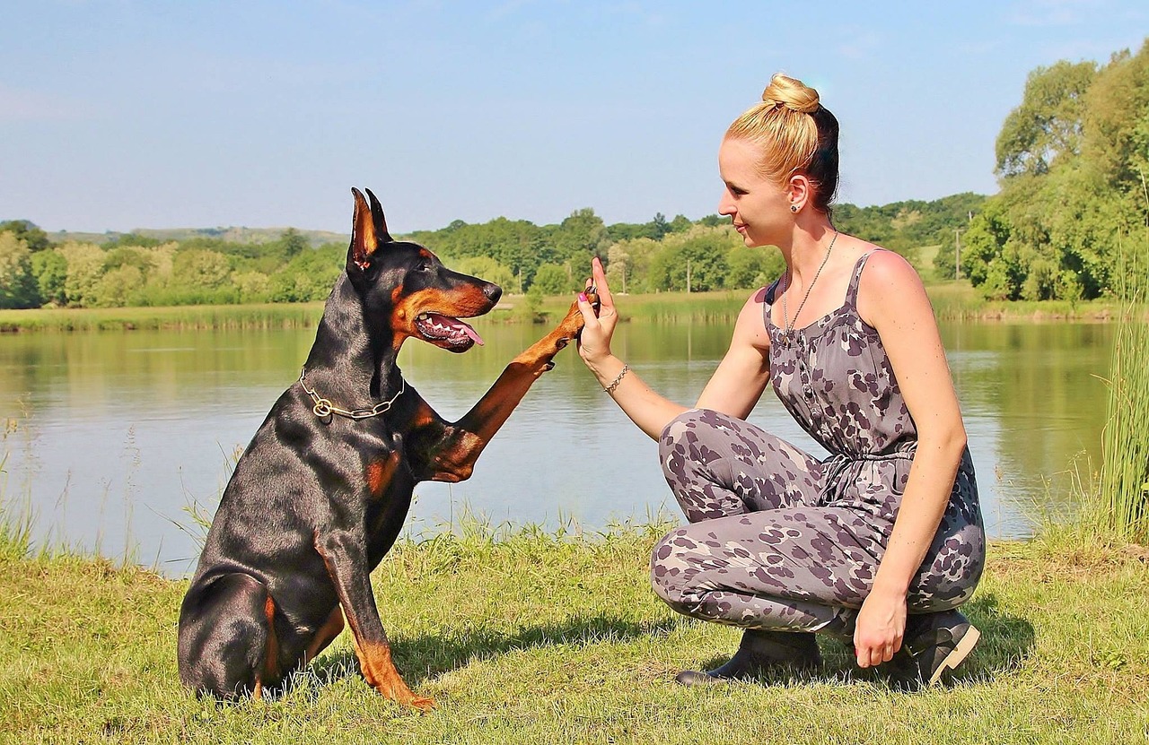5 Tips for Teaching Your Doberman Not to Jump on People