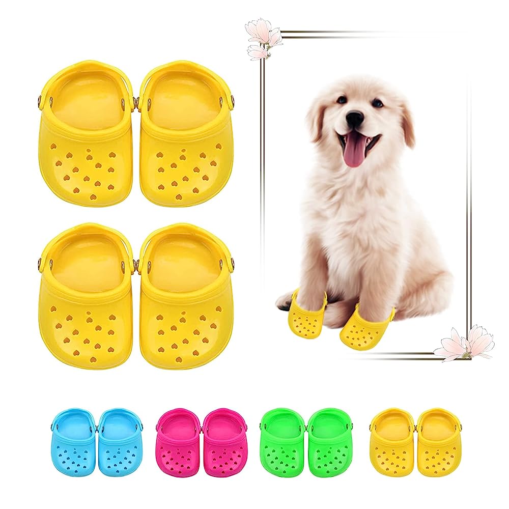 7 Best Crocs For Dogs