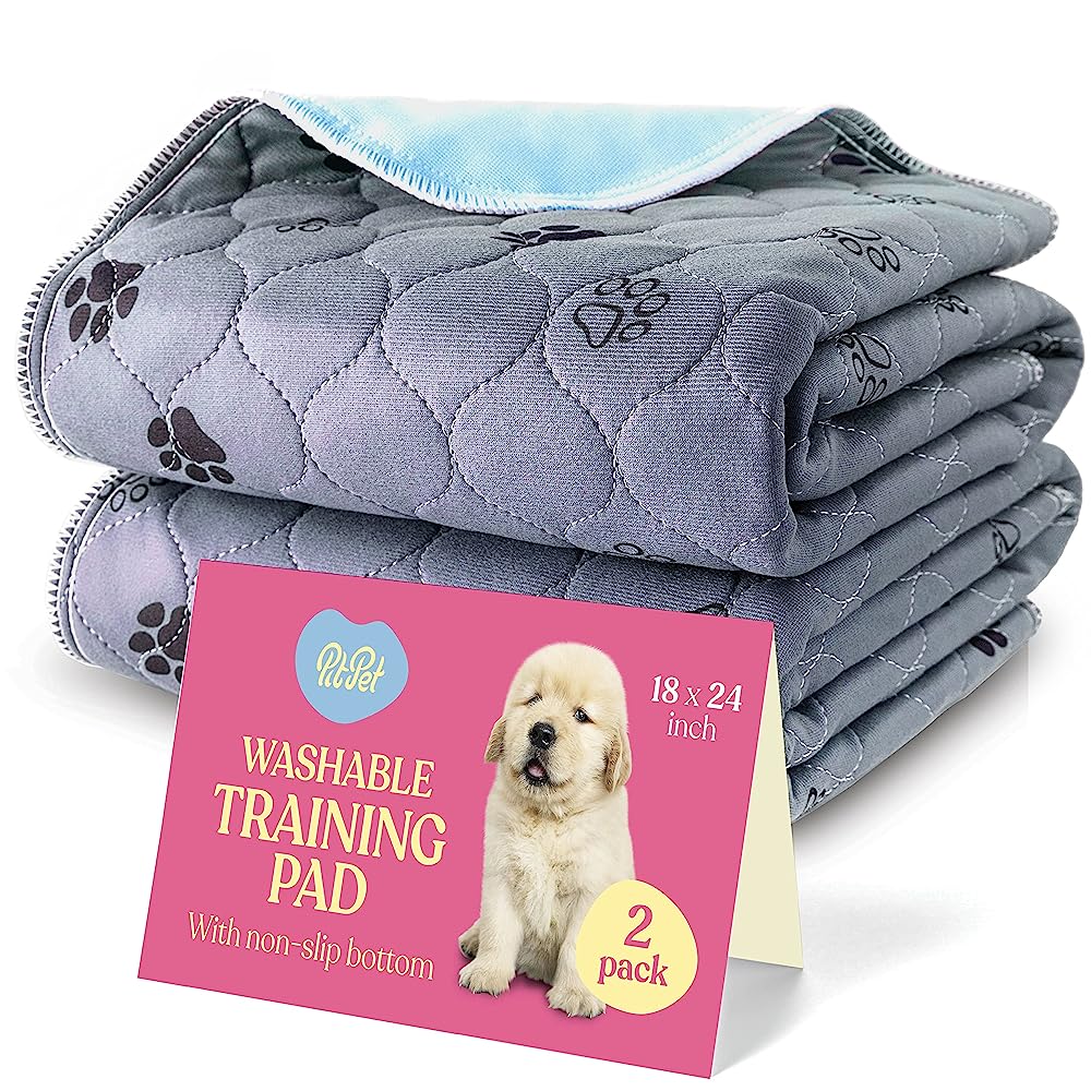 Washable Pee Pads for Dogs 6 Pack, 16x24 Reusable Whelping Pads, Absorb Dog  Mats Non-Slip Puppy Training Pads for Whelping, Potty, Training, Playpen