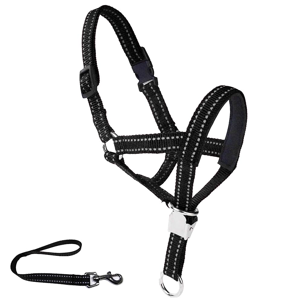 7 Best Head Halter for Dogs