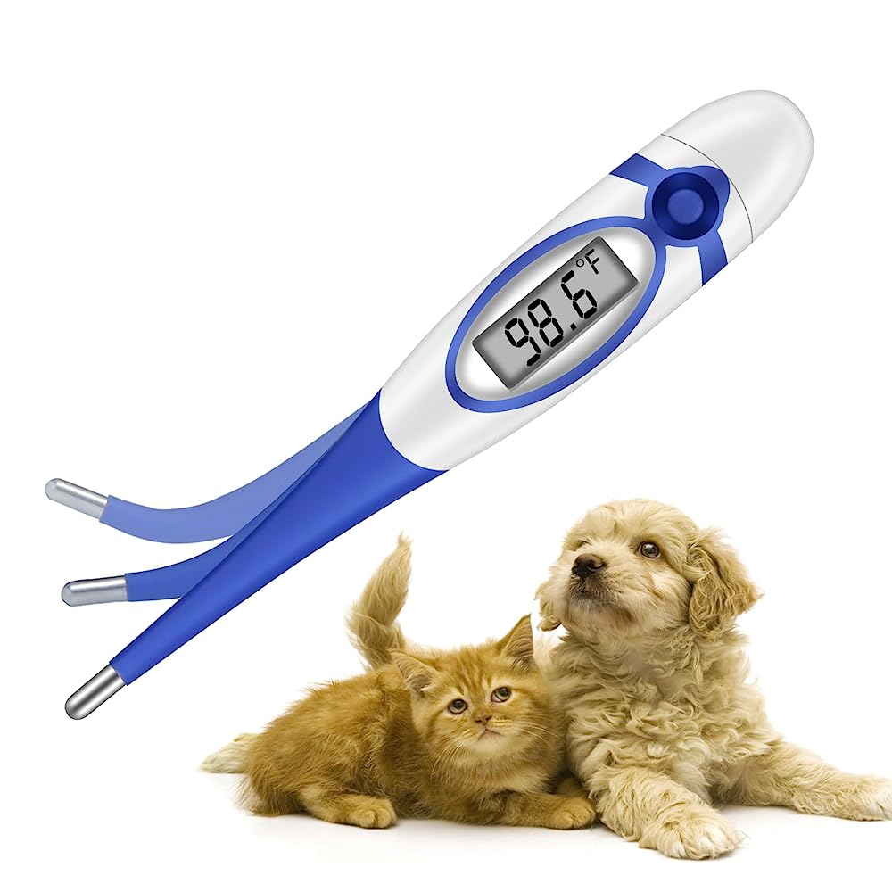 Top 3 Thermometers for Dogs: Keeping Your Best friend's Health in