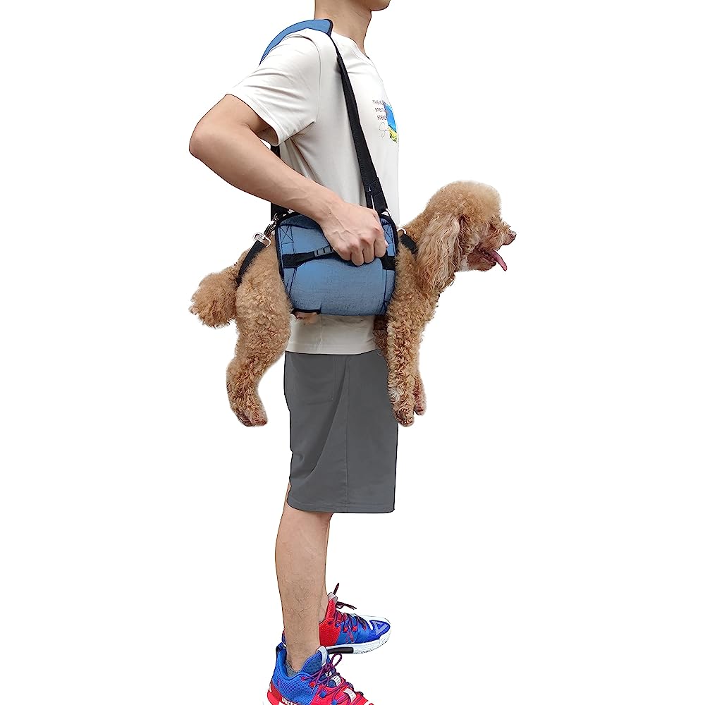 6 Best Dog Rescue Harnesses for Emergencies