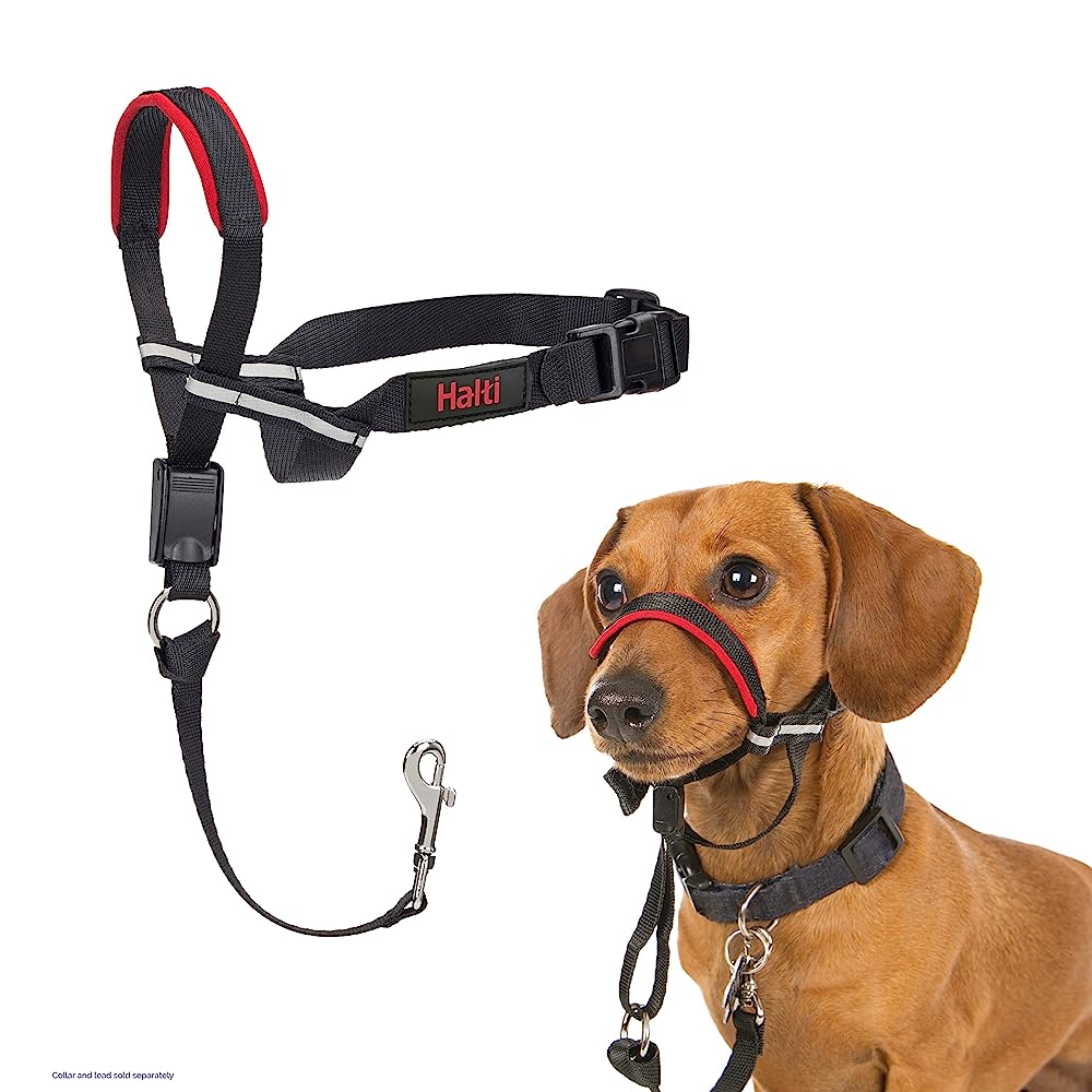 7 Best Head Halter for Dogs → K-9 Specialist