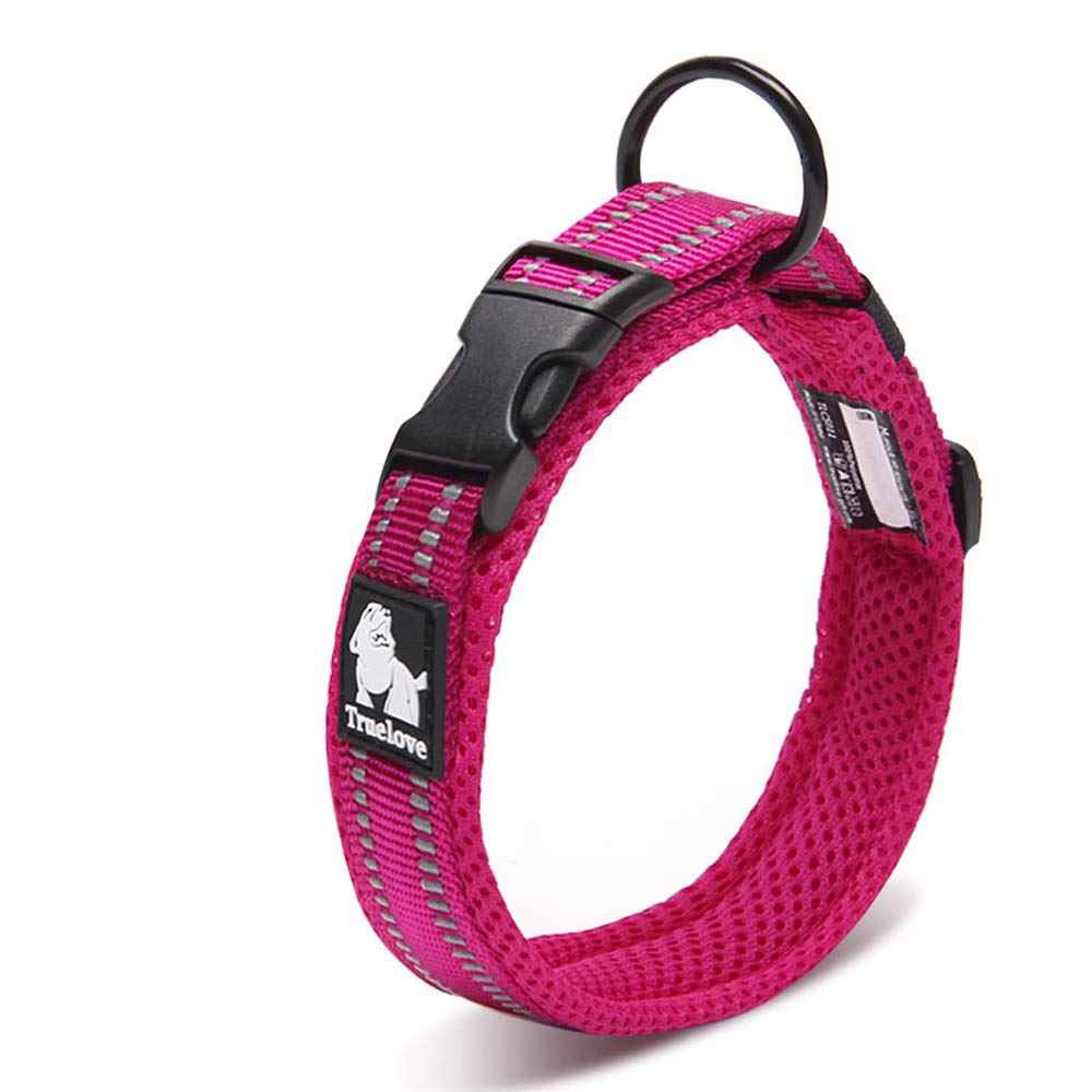 10 Best Collars for Dogs with Sensitive Skin