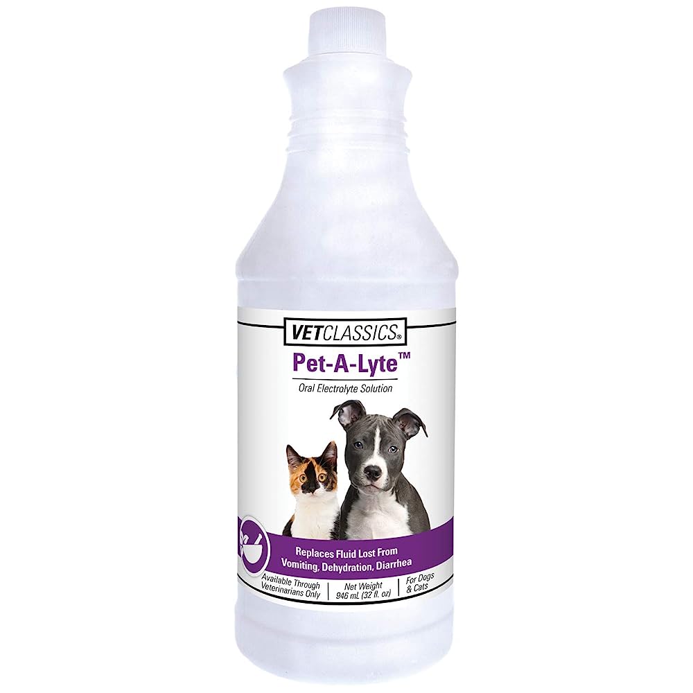 Electrolyte Supplements for Dogs