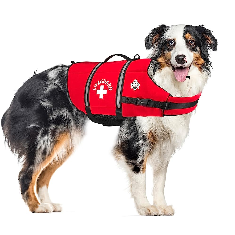 6 Best Life Jackets for Dogs My Doggys