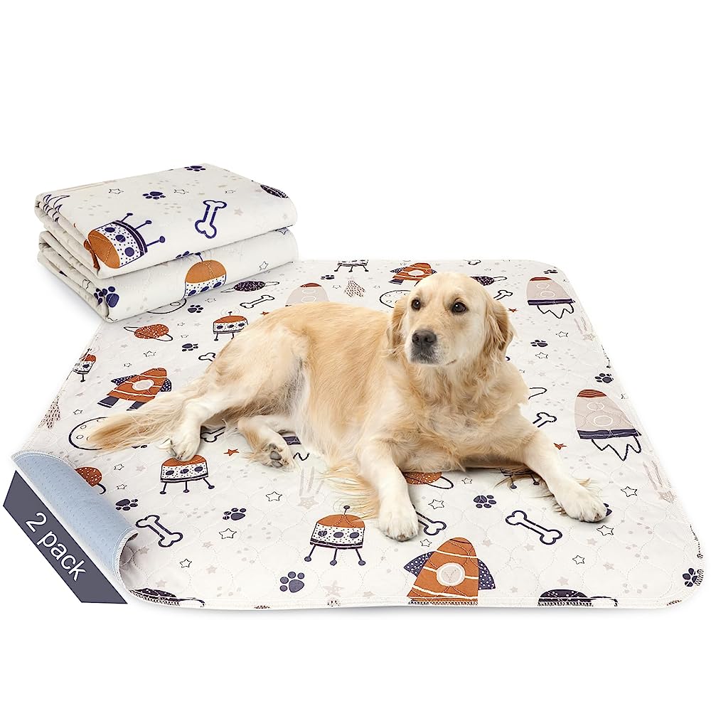 7 Best Washable Pee Pads for Dogs