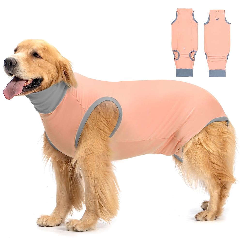 7 Best Dog Surgical Suits