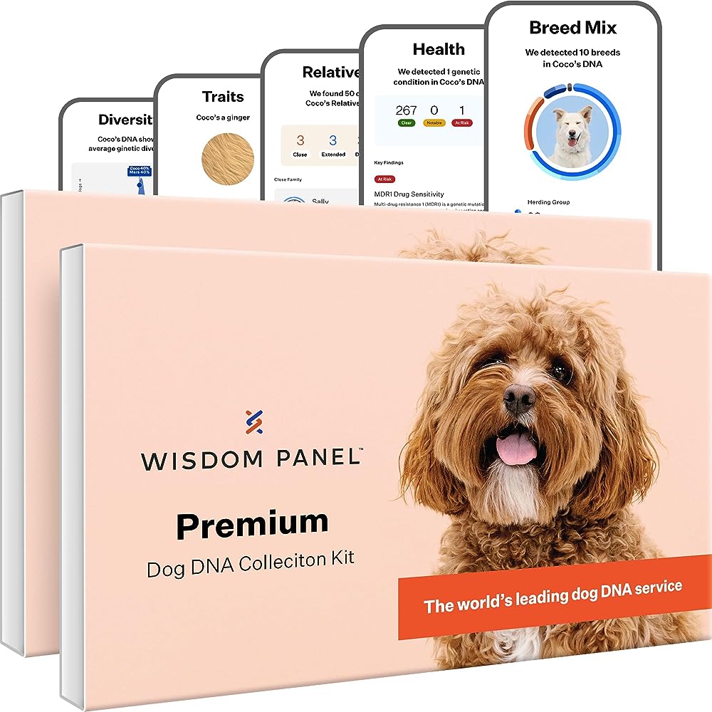 Allergy Test My Pet®: Fast, easy and completely painless.