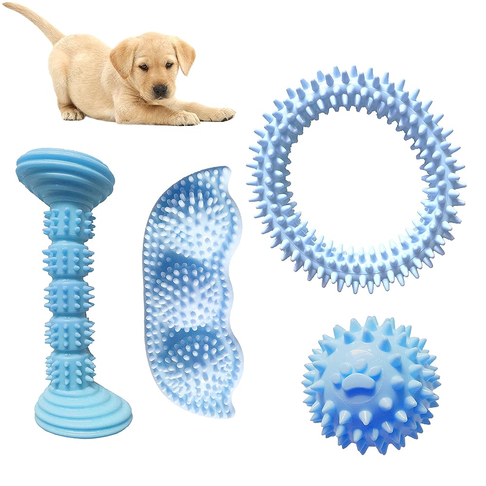 Dog Chew Toys, Puppy Toothbrush Clean Teeth Interactive Dog Toys, Dog Toys  Aggressive Chewers Small Meduium Large Breed (Bear)