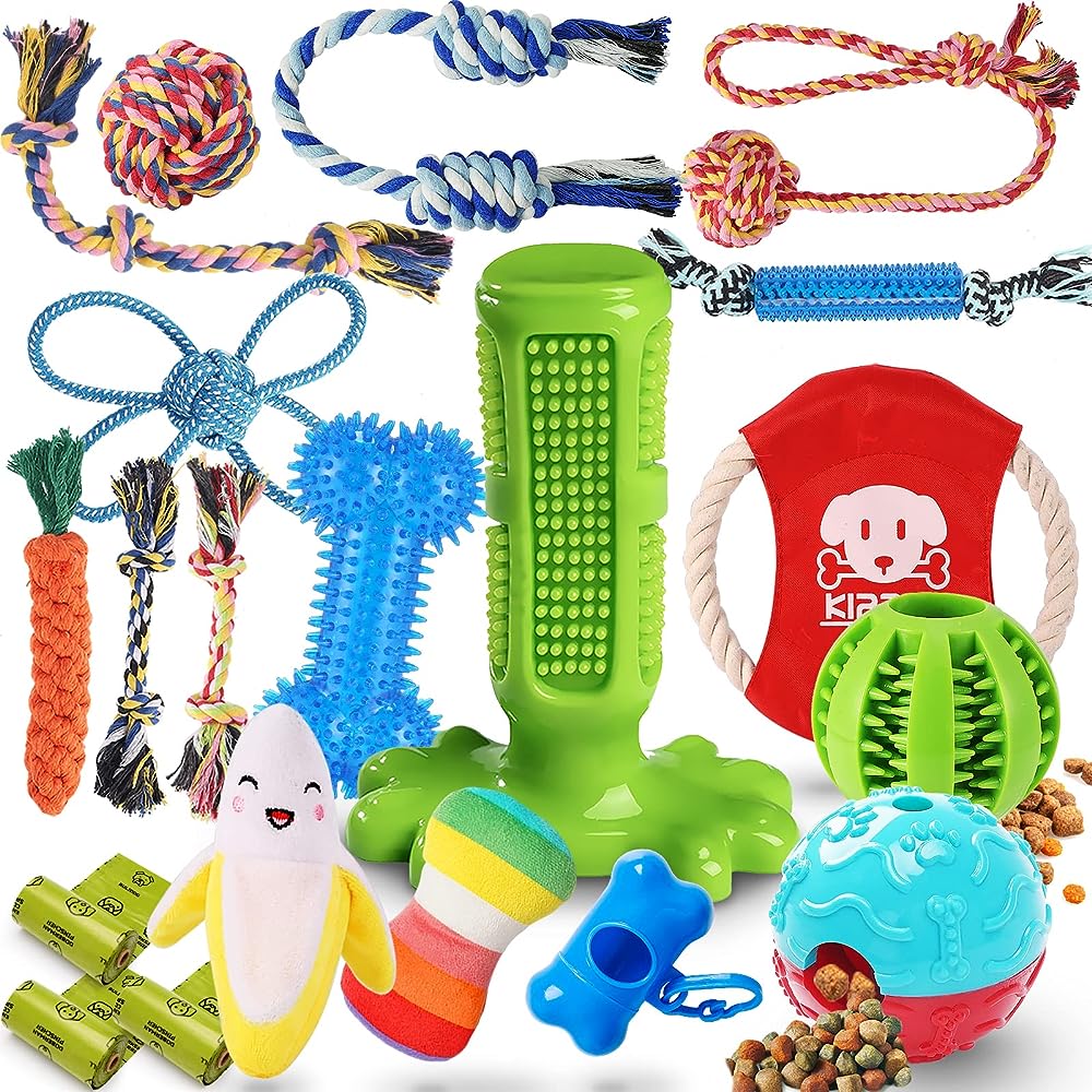 11 Best Chew Toys for Teething Puppies 2023