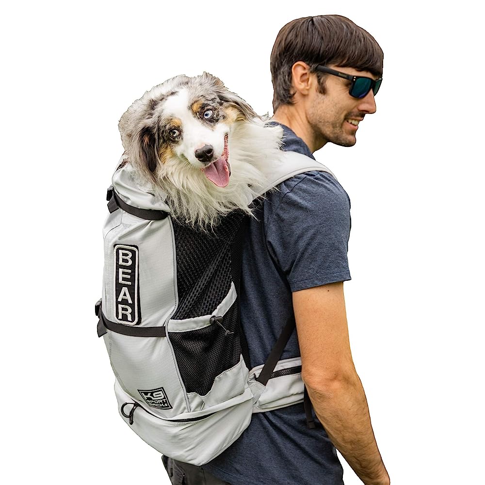 ItBelongs2U Nylon Mesh Pet Carrier Backpack Adjustable Front Dog Carrier Travel Bag L Black L
