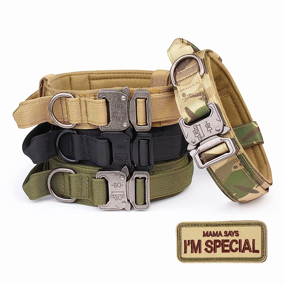 The 7 Best Tactical Dog Collars – Pup Breeds