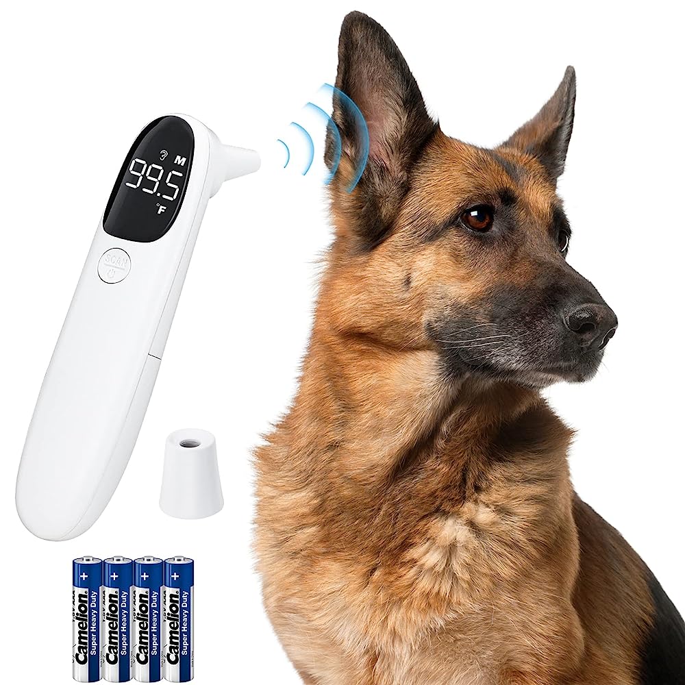 aurynns Pet Dog Thermometer Horse Anus Thermometer Fast Digital