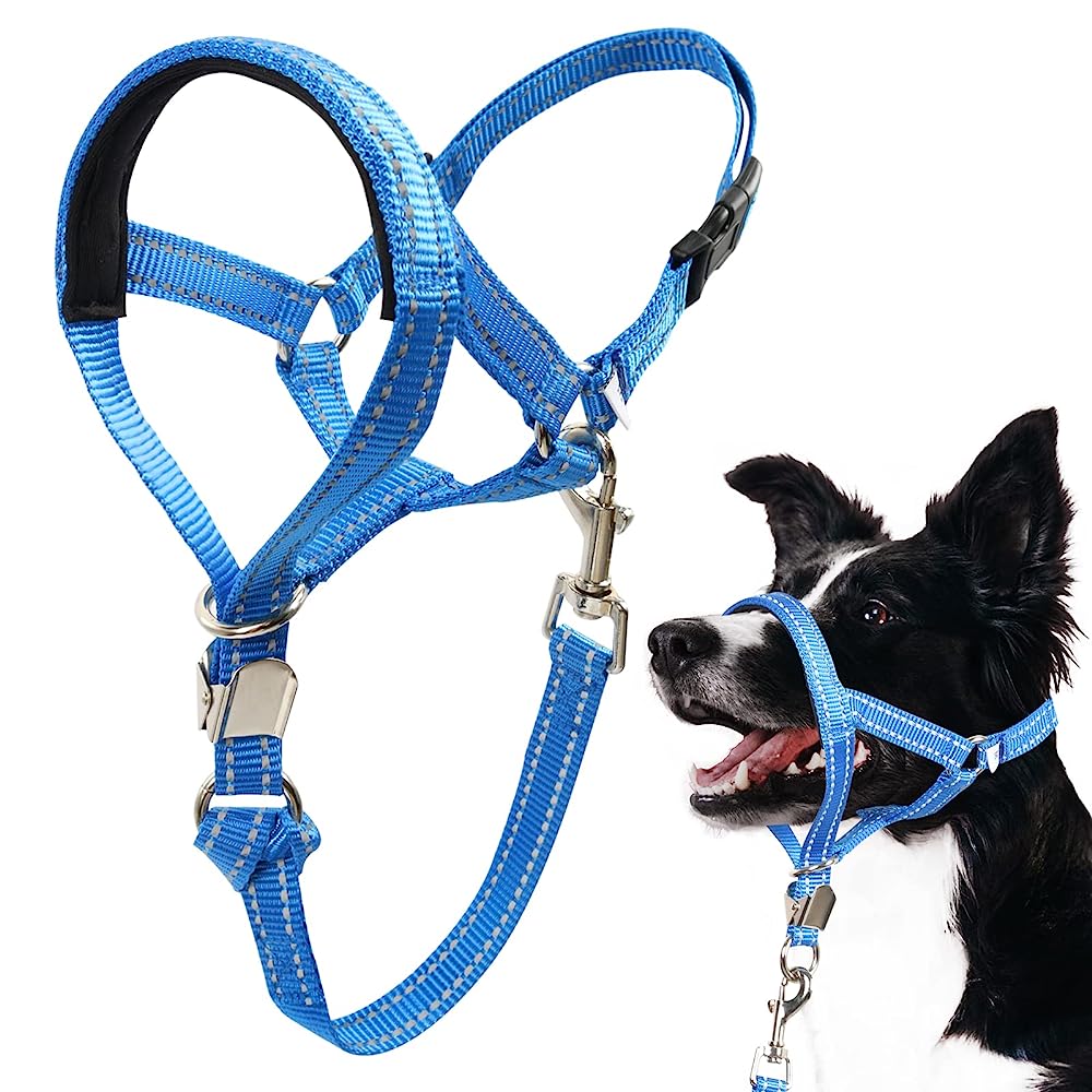 7 Best Head Halter for Dogs