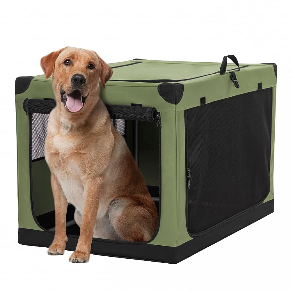 Basics 2-Door Top Load Hard-Sided Dog and Cat Kennel Travel